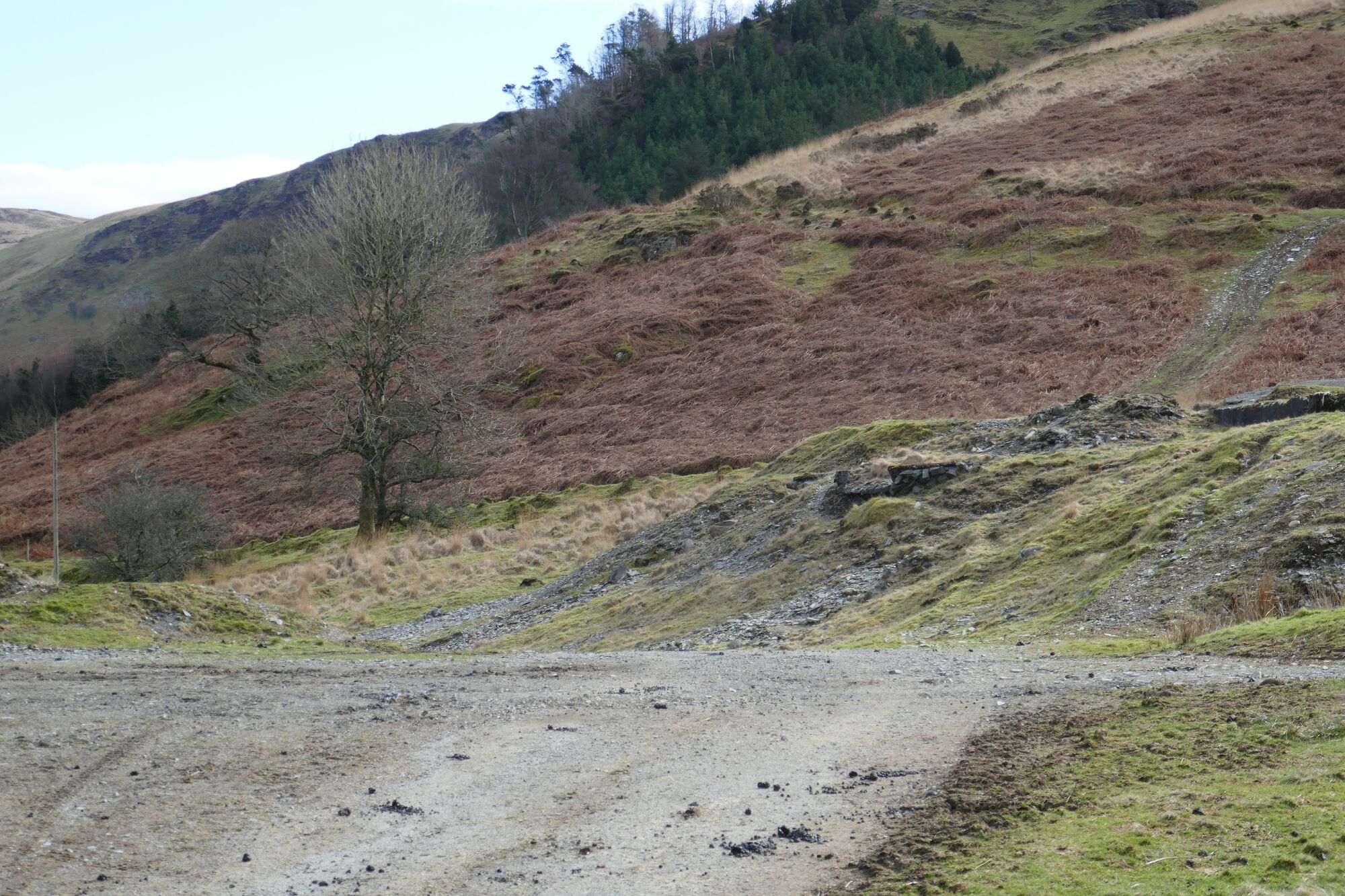 RachelSeabrook.net | Wild Walking | Cwm Cyneiniog and Craig y Pistyll | pic02